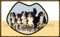 Banniere_arvernes